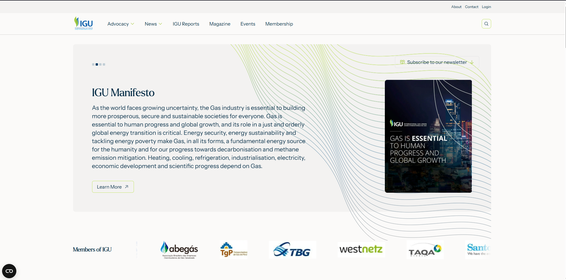 Screenshot of IGU